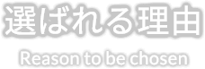 選ばれる理由 Reason to be chosen